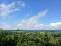 /album/2025/dorfwanderung-in-die-weisbach-4-jpg/